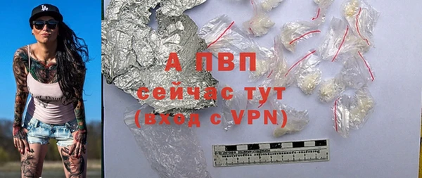 стаф Кодинск